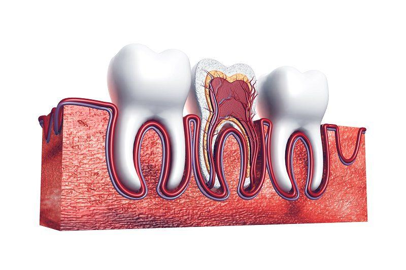 Root Canal Treatment and How It Saves Teeth